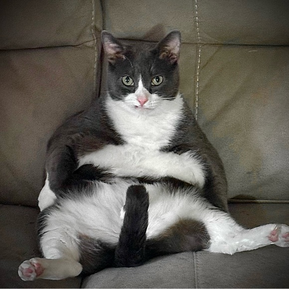 Hiiii…Welcome to my closet!!!! - Picture 4 of 16